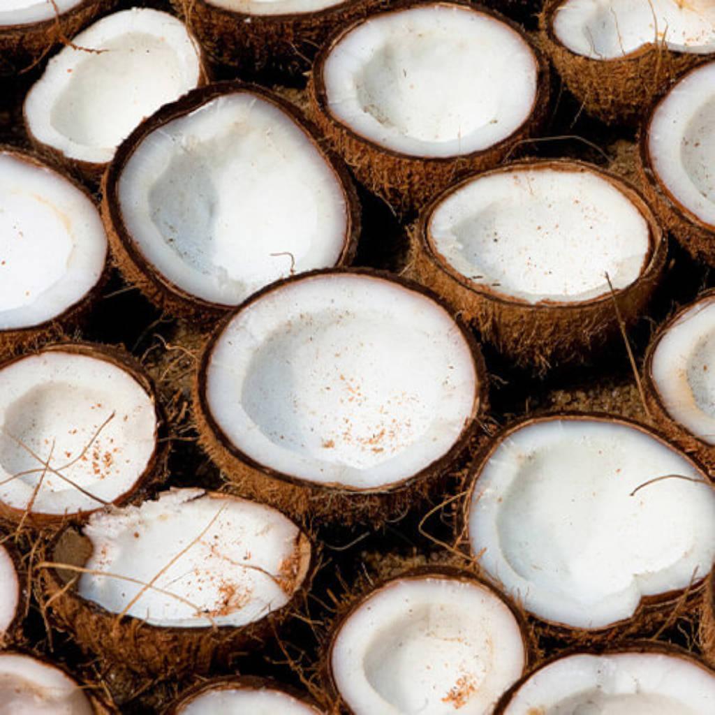 Aceite de coco