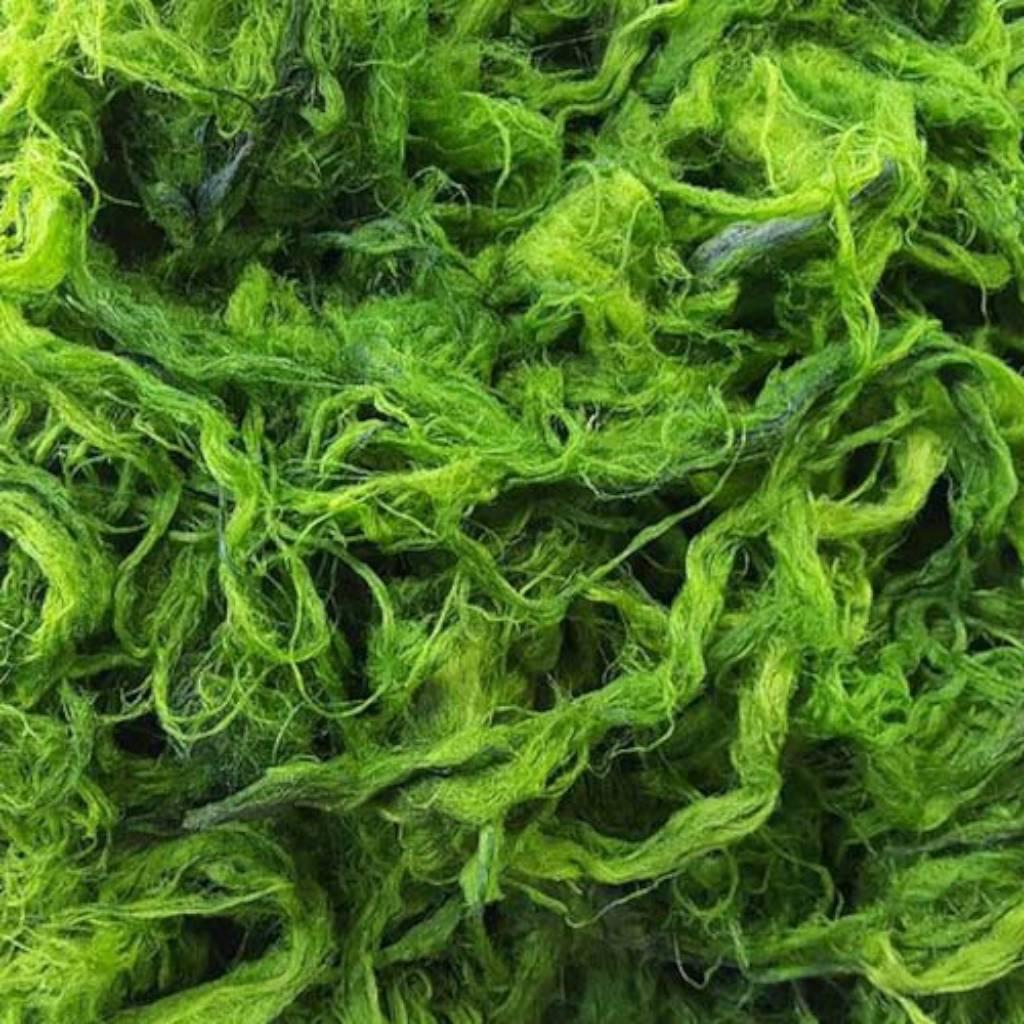 Espirulina